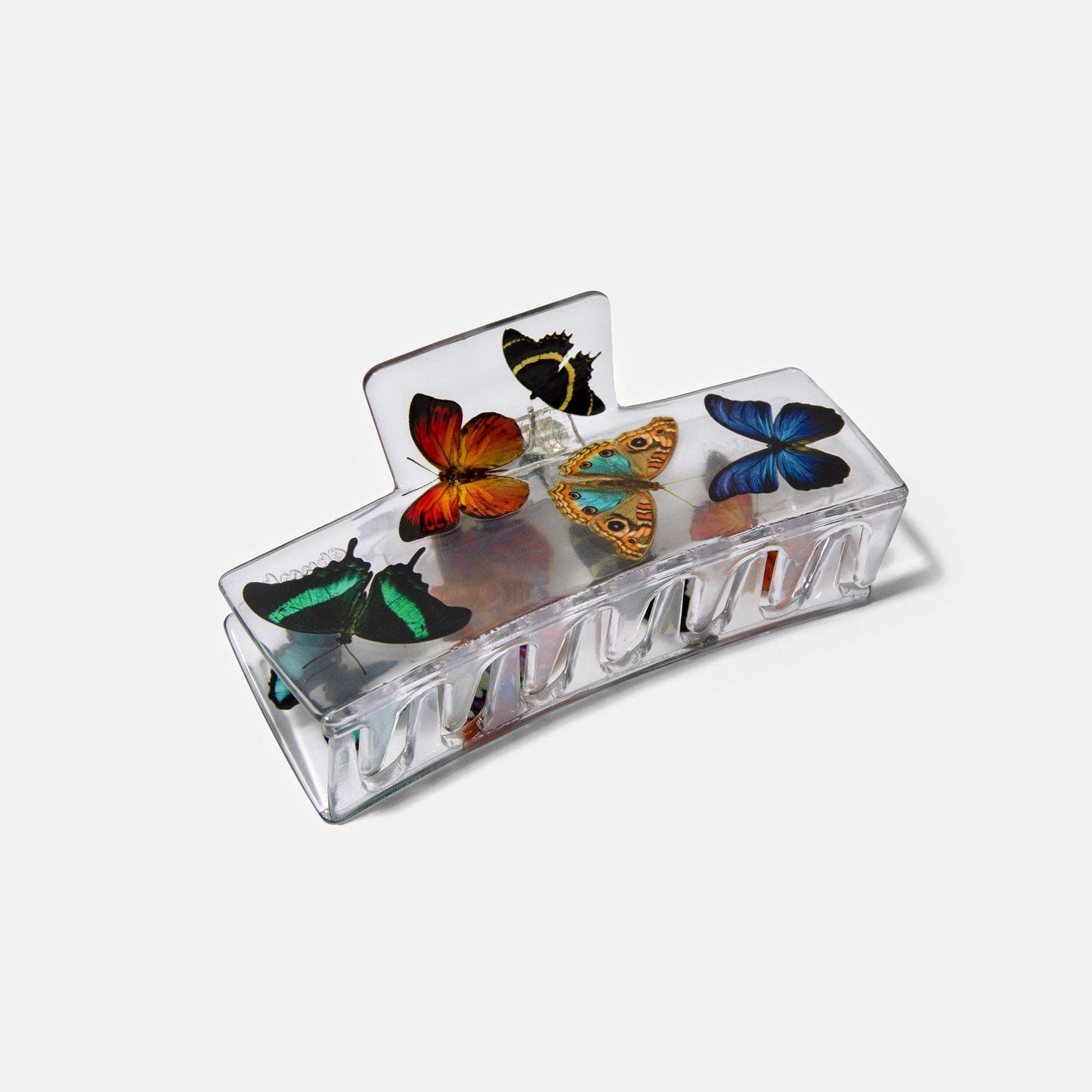 Butterfly Box Claw Clip