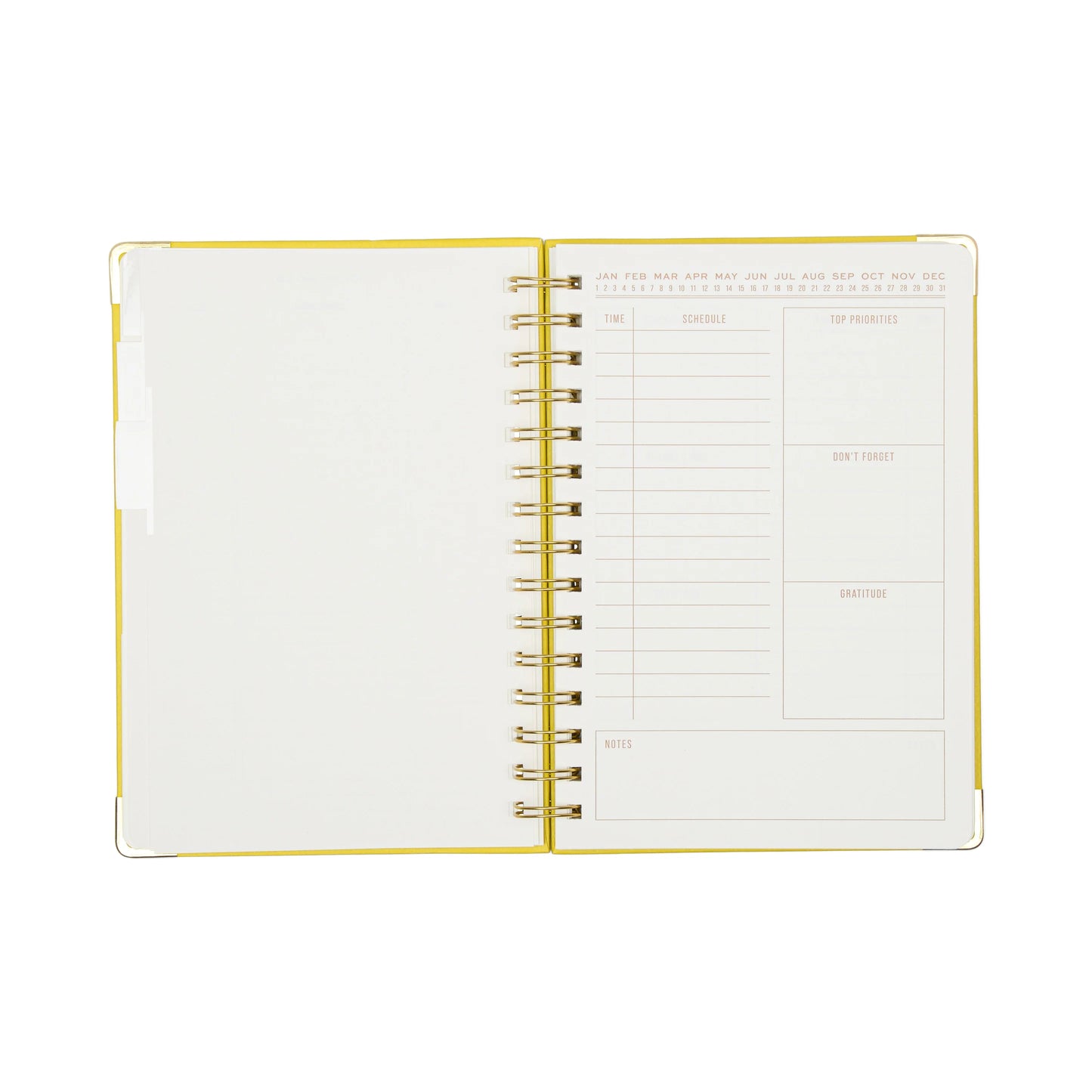 Perpetual 13 Month Undated Planner