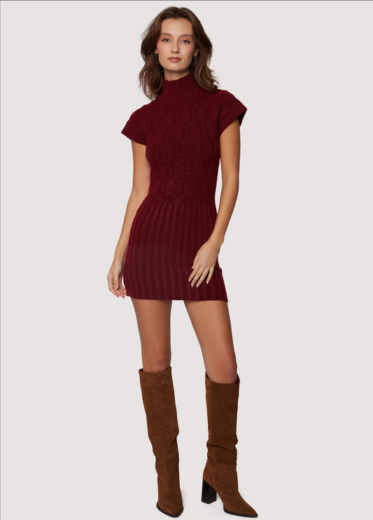 Beatrice Mini Sweater Dress