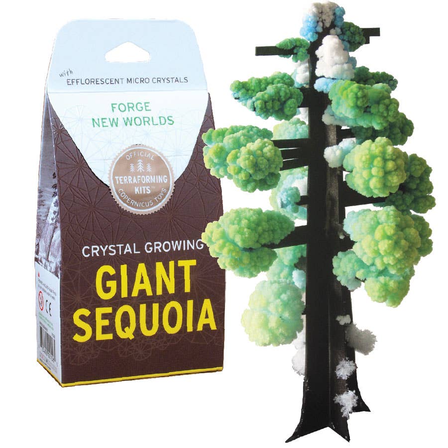 Crystal Growing Giant Sequoia Craft Kit