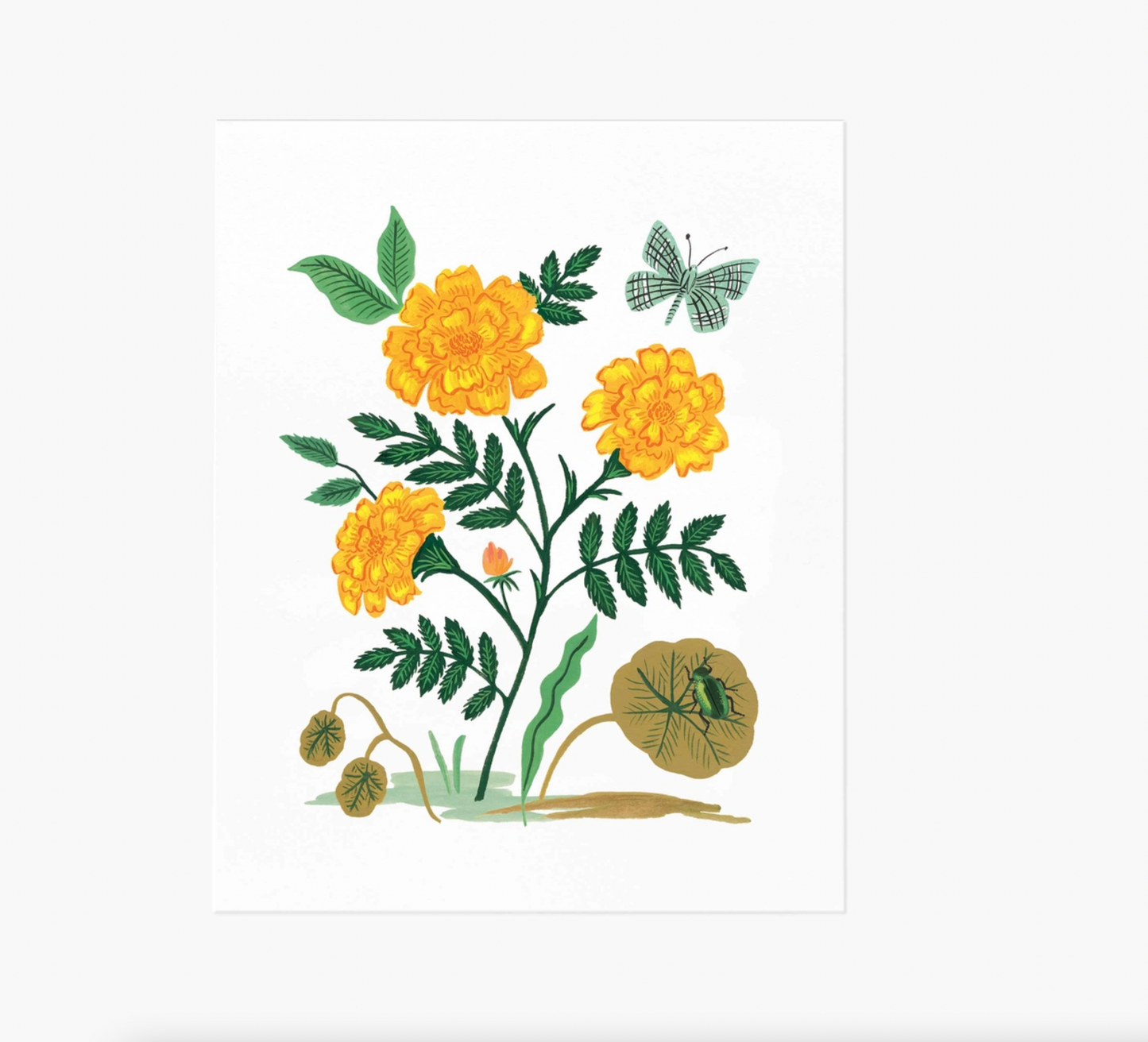 French Marigold Print