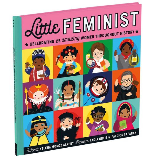 Little Feminist Picture Book